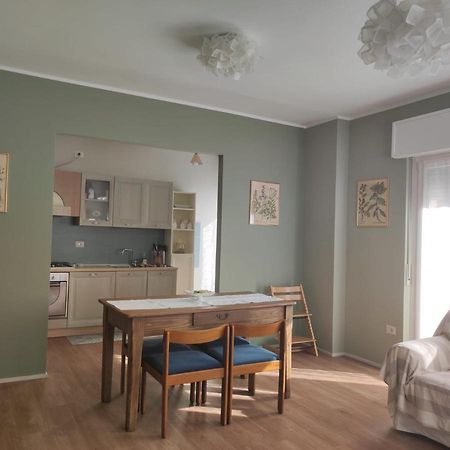Casa Botta. Ampio Appartamento Luminoso E Confortevole Morbegno Eksteriør billede